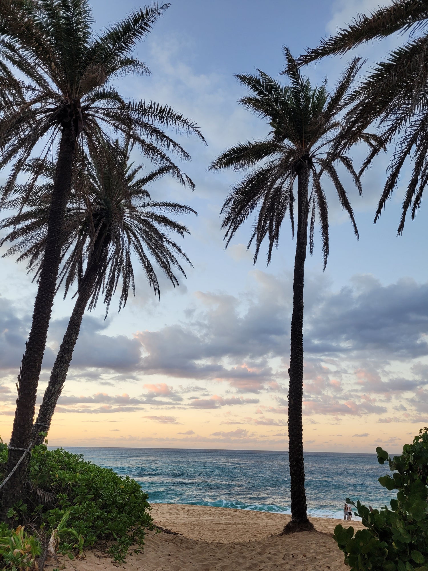 Hawaii Collection